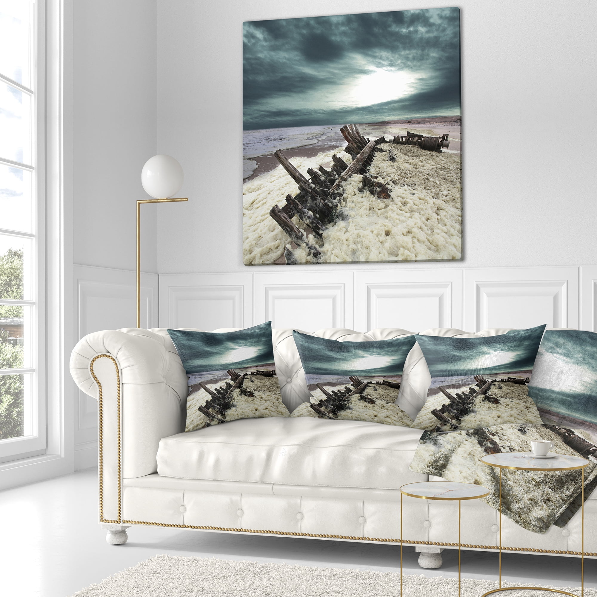 Designart Skeleton Coast National Park - Landscape Printed Throw Pillow - 16x16