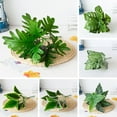 thumbnail image 2 of CNKOO Decorative Simulation Plant Realistic Vivid Clear Vines Flower Arrangement Artificial Leaves Home Decor, 2 of 9