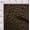 Brown, variant on oneOone Cotton Poplin White Fabric Leopard Animal Skin Quilting Supplies Print Sewing Fabric By The Yard 42 Inch Wide