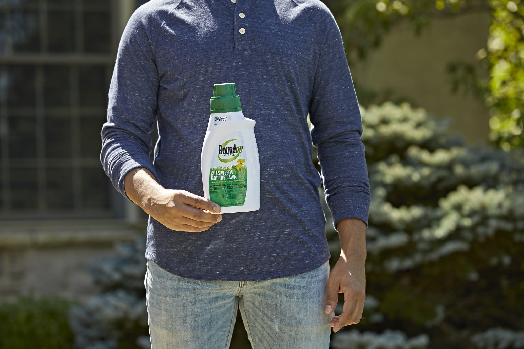 Roundup For Lawns 2 Concentrate Weed Killer for Northern Grass, 32 oz., Kills 250+ Weeds