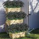 thumbnail image 3 of 10 mechones de flores artificiales para exteriores, flores violetas falsas para interior, exterior, jardín, Patio, porche, ventana, caja, hogar, boda, granja, decoración BANYUO Electrónica, 3 of 6