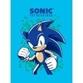 thumbnail image 3 of Sonic Girls Graphic Tee with Short Sleeves, Size XS-XL, 3 of 3