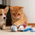 thumbnail image 3 of TIELUTT Tail Equipped Automatic Intelligent Roller Indoor Interactive Motion Sensing for Cats Puppy Cat Clothes Halloween Dog for Small Dogs Training for Cat Dog Stimulation Beginner Dog Tough, 3 of 5