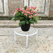 Daisyyozoid Wholesale Metal Plant Stands Set for Flower Pot Heavy Duty Potted Holder Indoor Outdoor