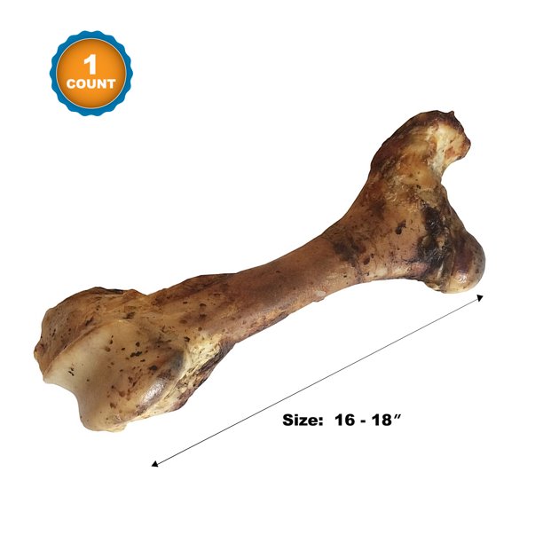 Massive Femur Beef Bone 1 Count 16 18" 123 Treats