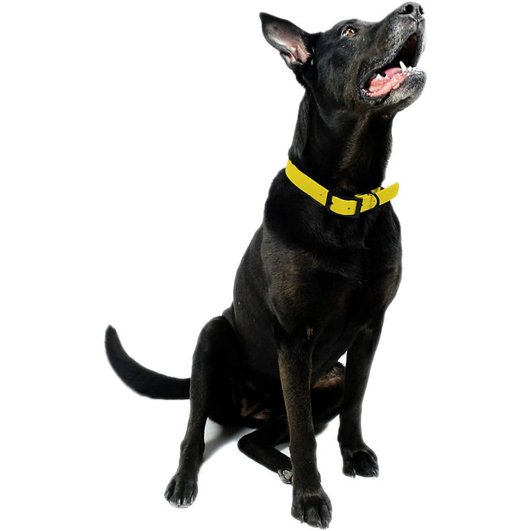 Large Dog Collar Hardware -- BLACK