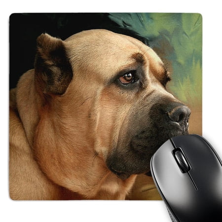 3dRose  Cane Corso  MousePad price history on PriceWatchPro
