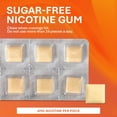 thumbnail image 4 of Rugby 00536303023 Original Nicotine Gum 4MG Sugar Free (Box of 110 Pieces), 4 of 6