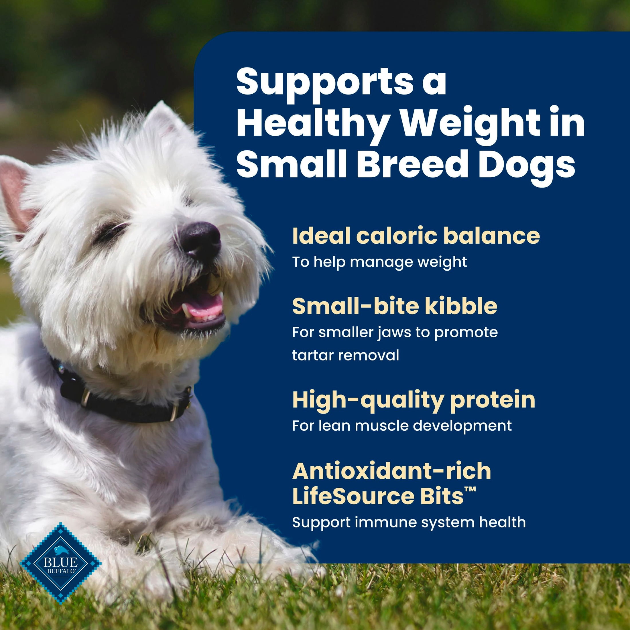 (3 pack) Blue Buffalo Life Protection Healthy Weight Small Dry Dog Food Chicken & Rice 5lb Bag