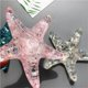 thumbnail image 4 of Lindo Imán De Nevera De Estrella De Mar Imanes De Nevera De Cristal Falso 3D Para Gabinetes De Oficina, Pizarras Blancas, Fotos, Imanes Decorativos Eigraketly HA017178-00, 4 of 7
