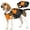 Orange, variant on Kuoser Dog Life Jacket with Reflective Strips, Adjustable Life Vest for Small Medium Large Dogs, Blue, M
