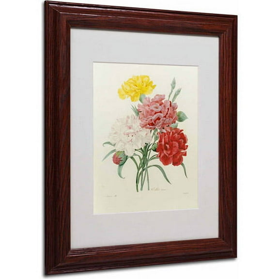 Trademark Fine Art "Carnations from Choix" Canvas Art by Joseph Redoute, Wood Frame