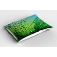 thumbnail image 2 of Ambesonne Flower Pillow Sham 2 Pack, Photo of Dandelion, 30"x20", Fern Green, 2 of 3