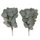 thumbnail image 1 of Inteprter Hojas de eucalipto artificial Tallo de eucalipto Hojas Ramas Tallos Planta de vegetación de eucalipto artificial Plantas de tallos de Decoración del hogar Inteprter HA015798-00, 1 of 5