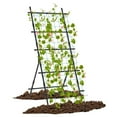 thumbnail image 2 of Resenkos 74 Inch Tall Garden Trellis for Flower Vine Vegetable Fruit Pea-Black, 2 of 8