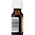 thumbnail image 2 of Aura Cacia Pure Essential Oil Lemon Balm in Jojoba Oil -- 0.5 fl oz, 2 of 4