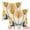 Lotus, variant on Unique Bargains Cotton Throw Pillow Cover Geometric Floral Cushion Covers (2 Count) Safflower 18" x 18"