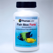 Thomas Labs Fish Mox Forte (Amoxicillin) Antibacterial Fish Antibiotic Medication, 30 Count (500 mg. ea.)