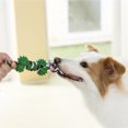 thumbnail image 3 of Vibrant Life Rubber Bone with Rope Dog Toy, 3 of 3