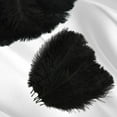 thumbnail image 5 of Pack of 30 Ostrich Feathers, Artificial Ostrich Feathers, Black Feathers, Decorative Feathers, DIY Craft Decoration Accessories, for Wedding Decoration, Home Decor, Party Table, 5 of 6