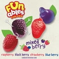 thumbnail image 4 of Funables Fruity Snacks, Mixed Berry Flavored Snacks, 0.8 oz, 22 Count, 4 of 12