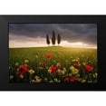 thumbnail image 2 of Rericha, Daniel 24x17 Black Modern Framed Museum Art Print Titled - Blooming Tuscany, 2 of 5