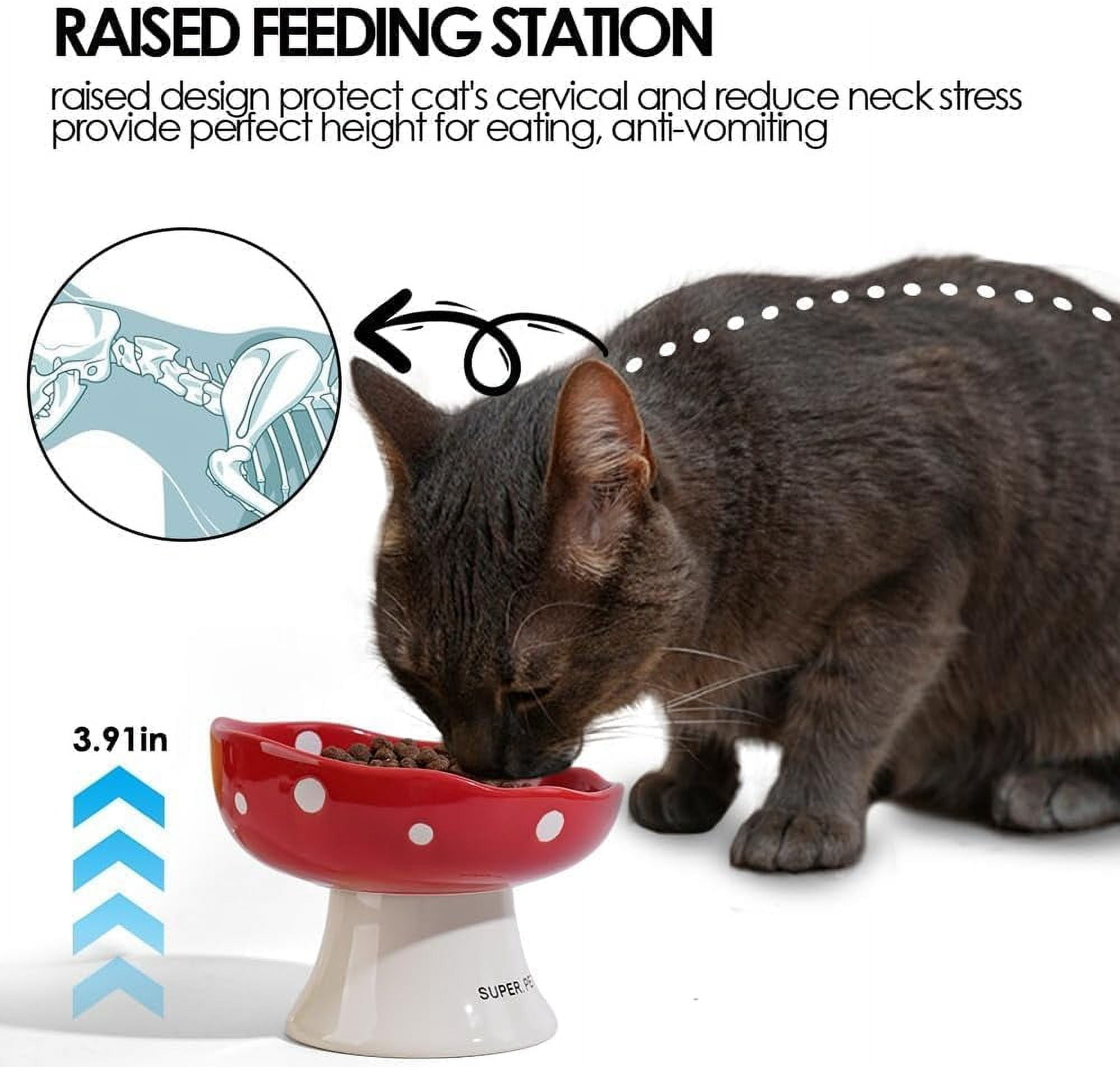 Ceramic Elevated Cat Bowls, Tilted Raised Pet Dish Anti Vomit Kitten Bowl for Indoor Cats, Whisker Friendly Pet Food and Water Bowl for Kitten, Cat, Puppies, Dishwasher Safe (Green)