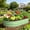 Fruit Green, variant on Raised Garden Bed 6×3×1 FT, Galvanized Metal Raised Planter Box Decorative Vegetable & Herb Planting Container for Lawn Border Patio BBQ Area Landscape Path Outdoor Midnight Blue