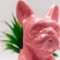 thumbnail image 2 of Pink French Bulldog Vase with Decorative Greens, 2 of 5