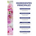 thumbnail image 3 of Serum facial BE AES células madre y ácido hialurónico 50 ml, 3 of 5