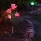 thumbnail image 4 of Lámpara Solar De Plástico Con Forma De Rosa Simulada 2 luces solares rosas de plástico rosa para decoración de jardín, impermeables, para exteriores y caminos. Rkxzt, 4 of 8
