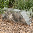 thumbnail image 4 of Havahart Large 2-Door Animal Trap, 4 of 6