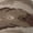 2 Black-2, variant on Desert Digital Camouflage Knee High Socks for Women Long Leg Warmers Socks