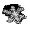 thumbnail image 2 of Decoración de árbol de Navidad con copos de nieve, accesorios para fiestas, guirnalda de copos de nieve, pegatinas navideñas con copos de nieve para ventanas, 2 of 6