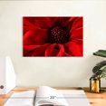 thumbnail image 3 of Elephant Stock Red Flower Bloom Wall Art - Horizontal Canvas Wall Art - Living Room Wall Decor - Floral And Botanical Canvas - Red And Black Decor - 12" x 8", 3 of 8