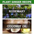 thumbnail image 3 of Rosemary Oil for Hair Growth, Rosemary Essential Oil for Hair Growth and Skin Care, Improve Hair Loss and Nourish 2pcs, 3 of 5