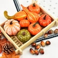 thumbnail image 4 of AMERTEER 50Pcs/Set Simulation Pumpkins Maple Pine Cone Thanksgiving Day Halloween Decor Style A One Size, 4 of 13