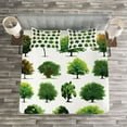 thumbnail image 3 of Ambesonne Nature Quilted Bedspread Set 3 Pcs, Pines Planes Bushes Tree, Queen Size, White and Green, 3 of 3