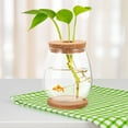 thumbnail image 4 of HONMEET Glass Terrariums for Plants Plant Terrarium Jar Clear for Versatile Display 1 Set, 4 of 8