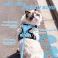 thumbnail image 6 of Rabbitgoo Cat Harness and Leash for Walking, Escape Proof Soft Adjustable Vest Harnesses for Cats, Easy Control Breathable Reflective Strips Jacket, Baby Blue, 6 of 11