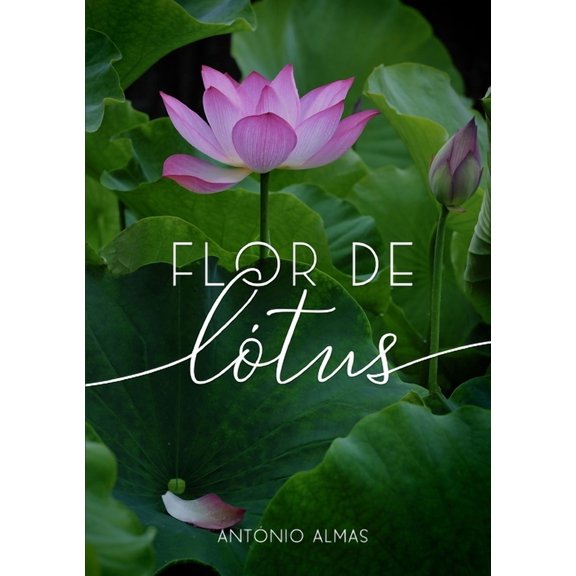 Flor de Lótus, (Paperback)