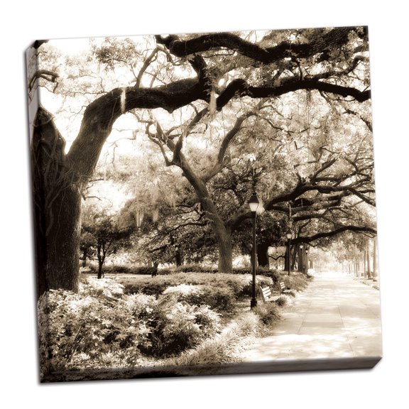Gango Home Decor Savannah Sepia Sq II by Alan Hausenflock (Ready to Hang); One 24x24in Hand-Stretched Canvas