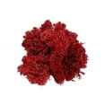 thumbnail image 2 of Bergamo Art 450g Preserved Reindeer Moss in Red, 2 of 4