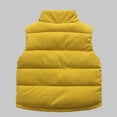 thumbnail image 3 of Generic Girls Boys Corduroy Vest Sleeveless Warm Outerwear Zipper Kids Lightweight Button Down Quilted Waistcoat Fall Winter Clothes, 3 of 3