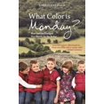 thumbnail image 2 of Pre-Owned What Color Is Monday?: How Autism Changed One Family for the Better (Paperback) 1849057273 9781849057271, 2 of 2