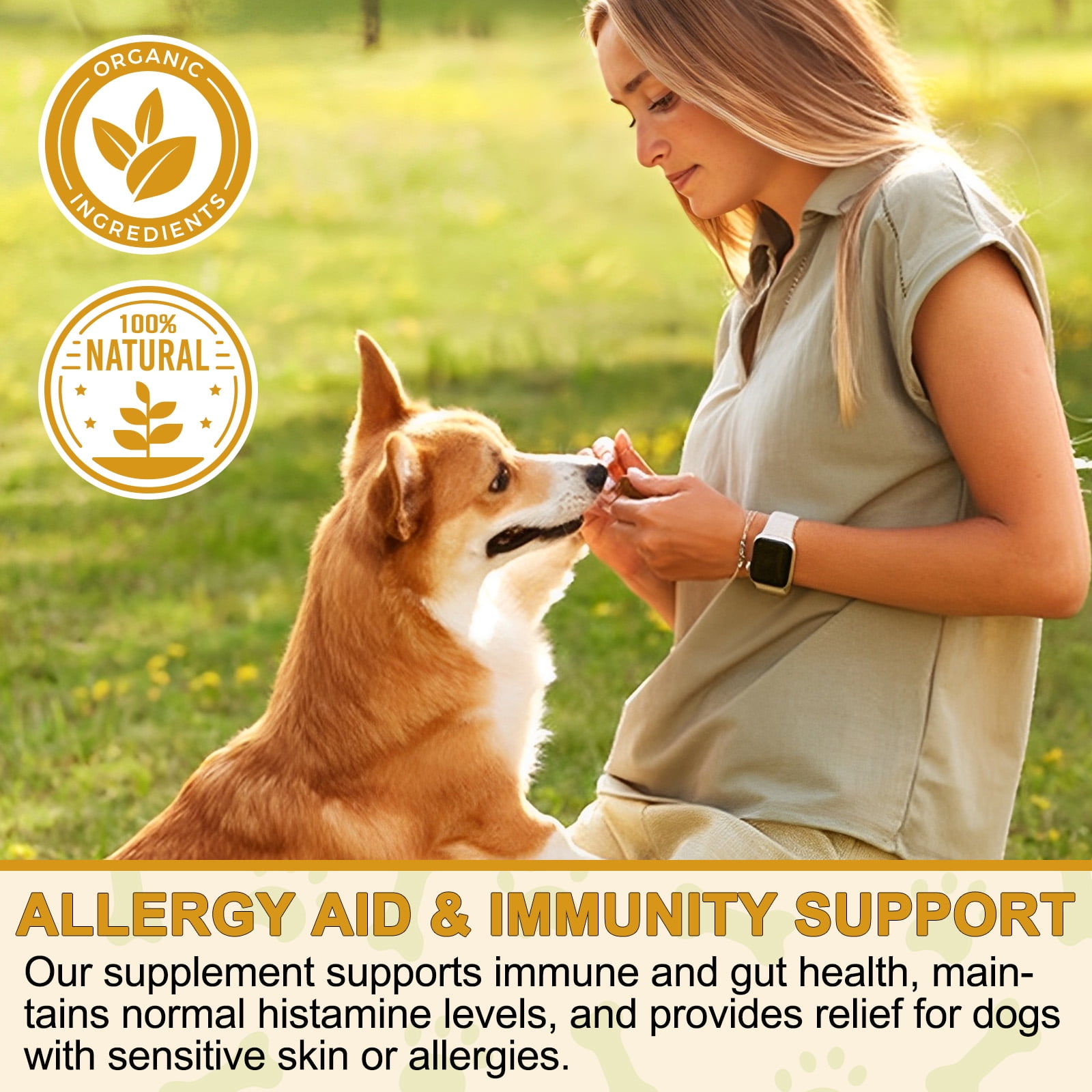 Oimmal Allergy Relief Chewable Tablets for Dog | Health Supplements for Dog | Relieve Dogs Skin Irritation and Shedding Due to Seasonal Allergies or Dermatitis | 180*2 Chewable Tablets