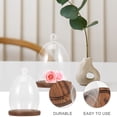 thumbnail image 2 of Egg Glass Cover Display Dome Compact Size Decor 19.00X13.00X13.00CM, 2 of 8