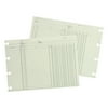 Wilson Jones Accounting, 9-1/4 x 11-7/8, 100 Loose Sheets/Pack -WLJGN2B