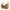 Beige, variant on POIUYTR Women Button Front Closure Bras Full Coverage Comfy Soft Breathable Underwire Lace Bra Push Up Everyday Bras 2024