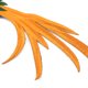 thumbnail image 3 of Daboolka 4 unids/set Phoenix Bird combinación hierro en apliques ropa parches para coser bordado DIY, 3 of 8